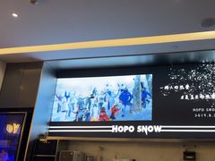 -Hopo Snow 城市滑雪空间(来福士广场购物中心店)