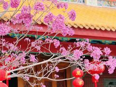 -天竺岩寺