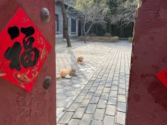 -四门塔风景区
