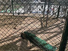 -北京鹿世界主题园