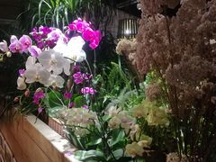 -春暖花开(西溪店)