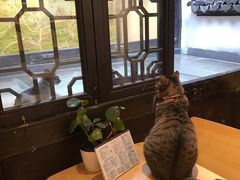 -猫的天空之城概念书店(杭州南宋御街店)