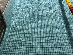 -杨浦温水游泳池