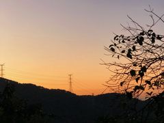 -阳台山森林公园