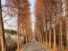 -广富林郊野公园