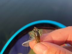 -蓝天路(地铁站)