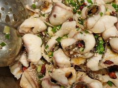 -百岁鱼(七一路店)