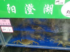 -阳澄湖大闸蟹·琼灵阁牌品牌连锁(吴中总店)