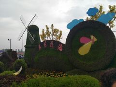 -荷兰花海