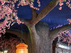 -荷塘秋月·本帮江浙菜(国权路店)