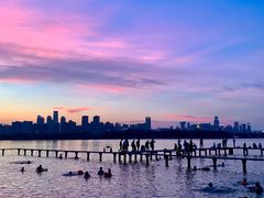 -循礼门鲜花花市(武汉循礼门店)