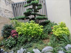 -妈妈菜舟山海鲜(定海古城店)
