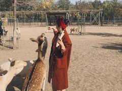-北京麋鹿生态实验中心