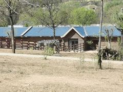 -石家庄市动物园