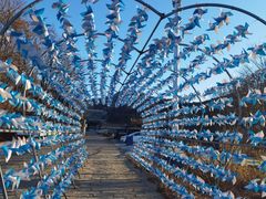 -金石滩蓝莓谷庄园