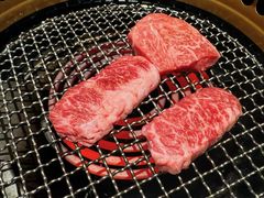 -老乾杯(深圳湾万象城店)