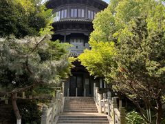 -八大山人梅湖景区