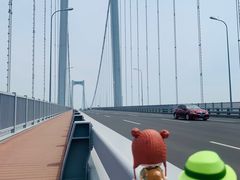 -星海湾跨海大桥