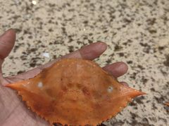 -禾斗海鲜自助(市南银座店)