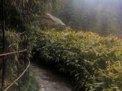 -竹子庵公园