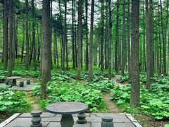 -洛阳白云山景区