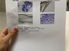 -谐和贝康宠物医院24小时·宠保定点(急重症转诊中心)