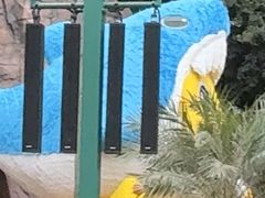 -海合安成都极地海洋公园