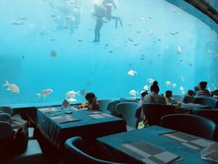 -瑞德姆美人鱼海底演艺主题餐厅(亚龙湾店)