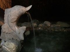 私汤-徂徕山森林康养度假谷温泉
