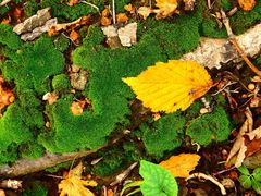 -丹东天桥沟景区