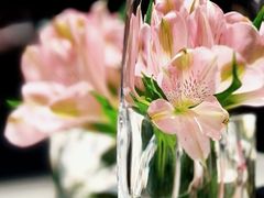 -炳胜私厨(万象前海店)