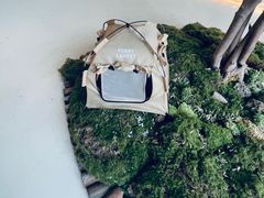 -白茶原·一片叶子