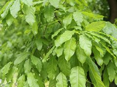 -新南门(地铁站)