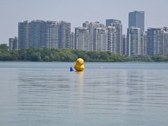 -金鸡湖景区