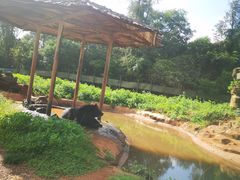 -海南热带野生动植物园