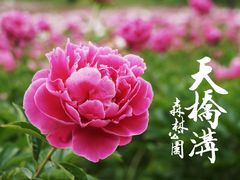 DSC06251-丹东天桥沟景区