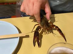 -小田油焖小龙虾(双井店)