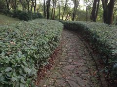 -上海市保健医疗中心(华东疗养院)
