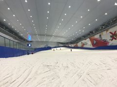 -哈尔滨热雪奇迹