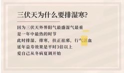 -香薇妮丝女子减肥院