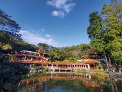 -深圳仙湖植物园