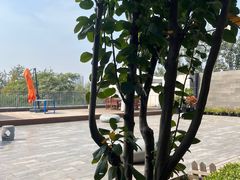 -北京云瑧金陵莲花酒店·莲·川小馆