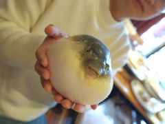 -永安鱼庄·镇江菜(丁卯店)