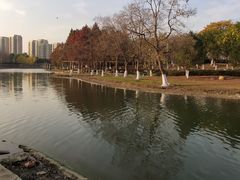 -白塘生态植物园