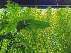 -物心空间