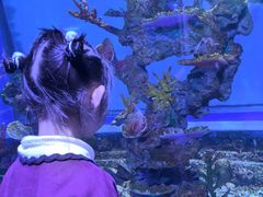 -上海大自然野生昆虫馆(东方明珠·爬宠昆虫探索中心)