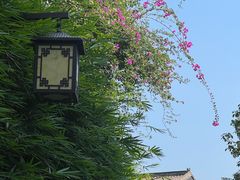 -聚龙小镇