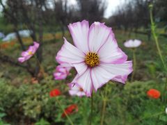 -共青国家森林公园-南大门停车场