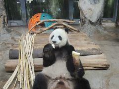 -海南热带野生动植物园