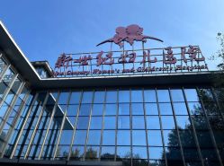 -北京新世纪妇幼医院·产检·分娩·计生(望京院区)